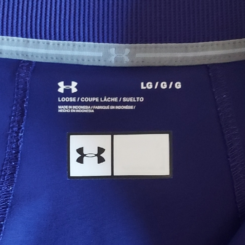 Under Armour Purple Athletic Shorts